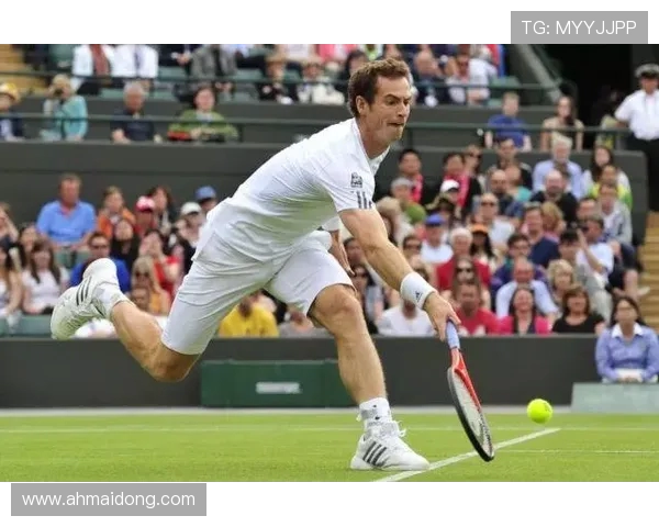 网球运动的魅力与挑战全面解析从技术体能到心理战的深度探讨